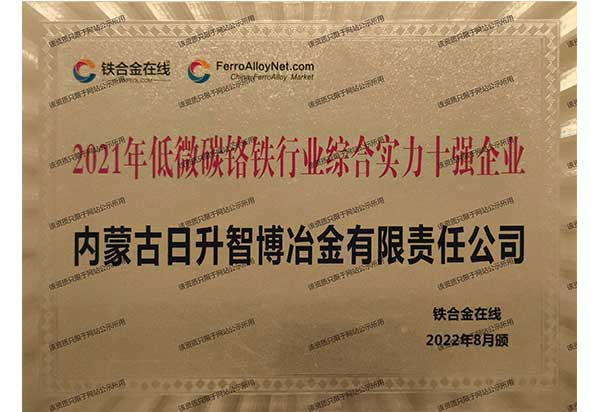 十强企业2.jpg